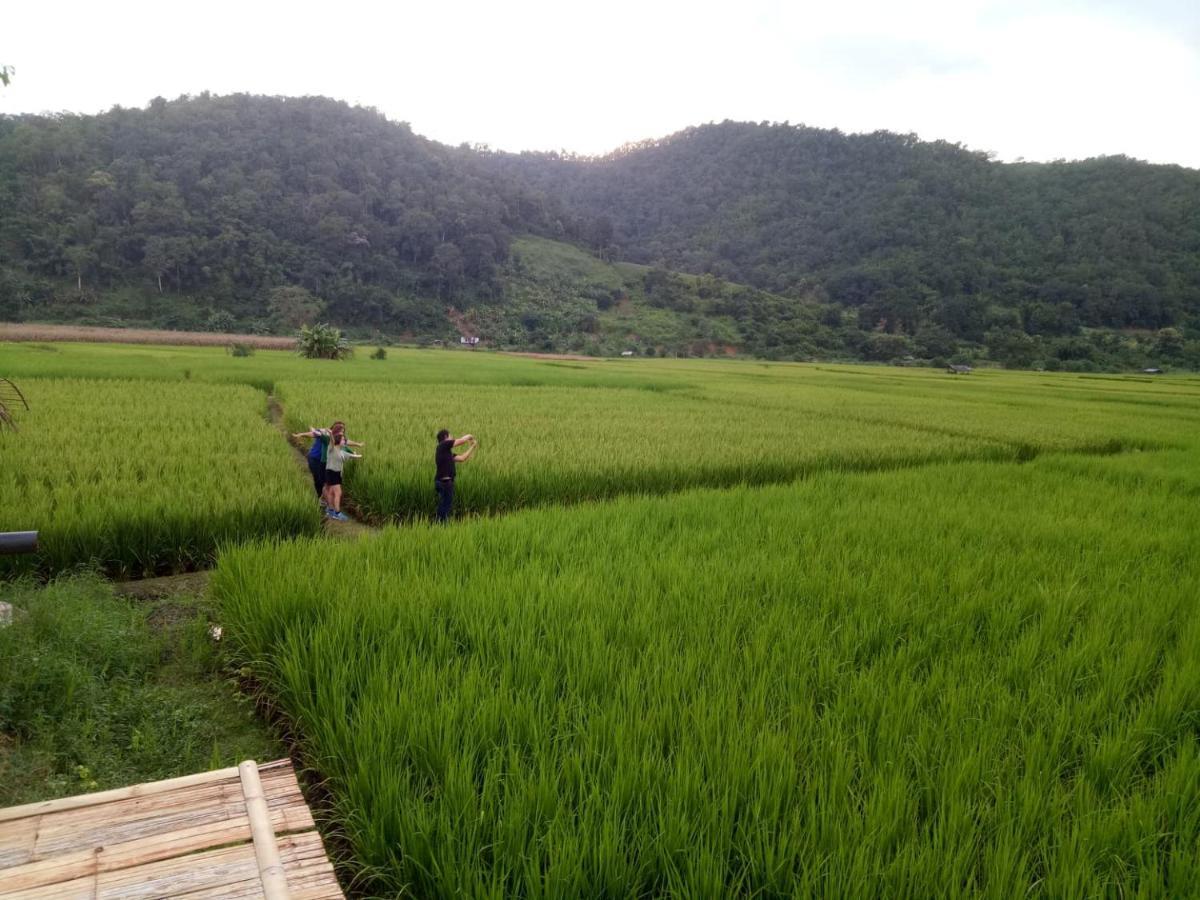 Samoeng Fishing Park Home Stay Экстерьер фото